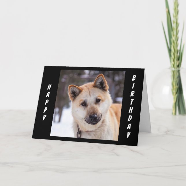 "ALL EARS" TO HEAR HOW YOU CELEBRATE YOUR BIRTHDAY CARD (Front)