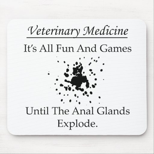 Image of All fun and games anal glands (Vet) Mouse Mat