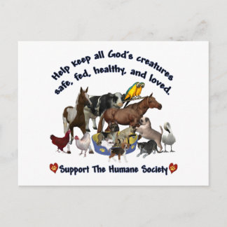 All Gods Creatures Humane Society Postcard
