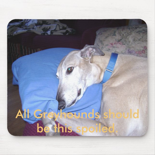 All Greyhounds should be this spoiled. Mouse Mat (Front)
