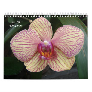 All HIS glory...2010 Calendar