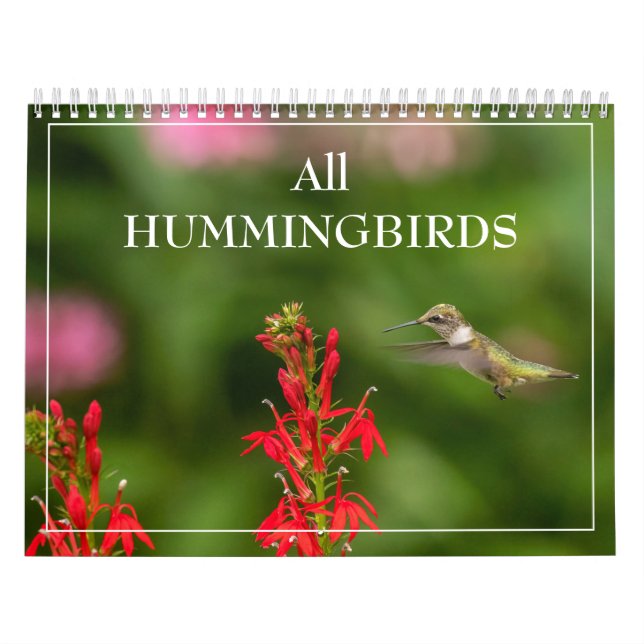 All Hummingbirds Calendar (Cover)