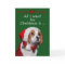 All I Want For Christmas Greeting Card