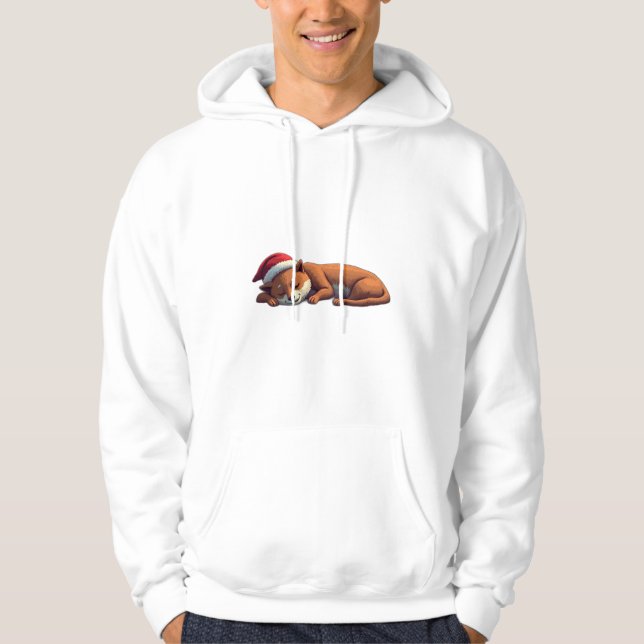 All I want for christmas is a long nap Hoodie (Front)