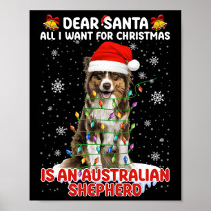 All I Want For Christmas Is Australian Shepherd Do Poster