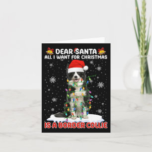 All I Want For Christmas Is Border Collie Santa Do Card