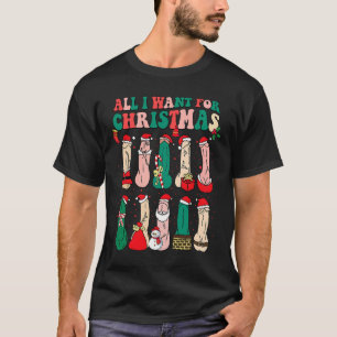All I Want For Christmas Is D Merry Willymas Dirty T-Shirt