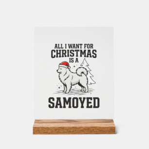 All I Want for Christmas Samoyed Dog Acrylic Sign