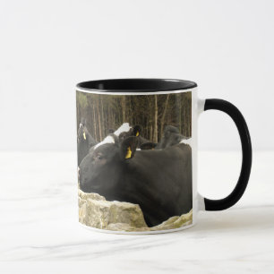 All in a Row Ringer Mug