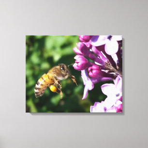 All In For Pollen Honey Bee and Lilac Canvas Print