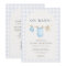 All in One Blue Gingham Baby Shower