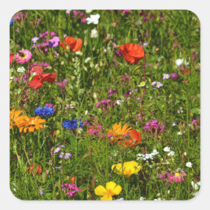 all kind of beautiful flowers square sticker