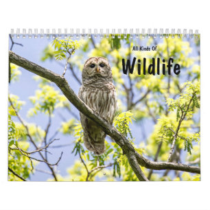 All Kinds Of Wildlife Calendar