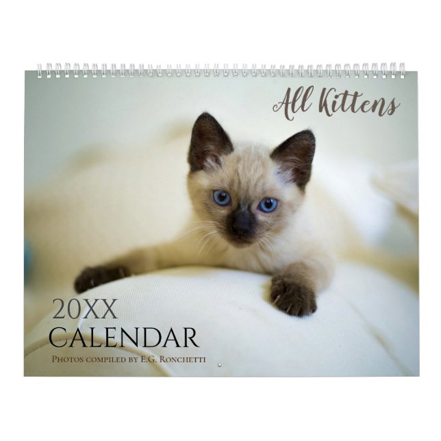 All Kittens Cute 2027 Wall Calendar Gift Cats (Cover)