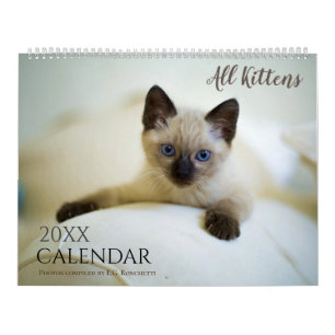 All Kittens Cute Animal 2027 Calendar