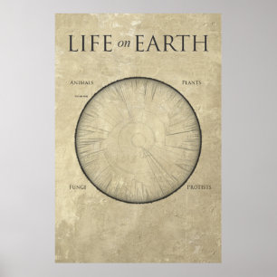 All Life on Earth, mapped out on one giant poster