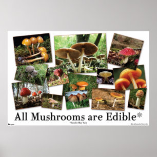 All Mushrooms Are Edible* Poster