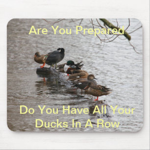 All My Ducks in A Row Mouse Mat