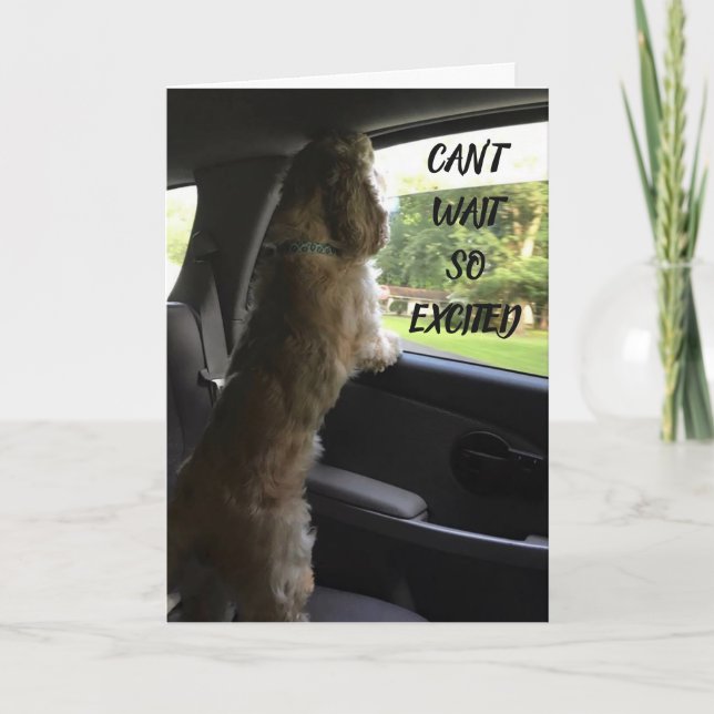 ALL MY LOVE ***HAPPY BIRTHDAY** CARD (Front)