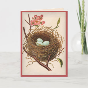 All Ocassion  Birdnest  Thank You Note Card