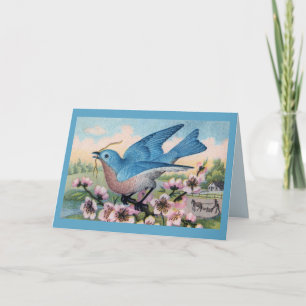 All Ocassion  Bluebird  Thank You Note Card