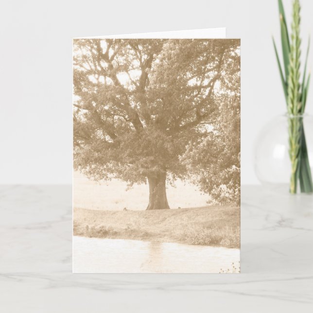All Occasion Card (Front)