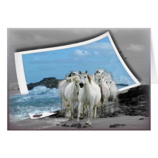 All Occasion Card (Front Horizontal)