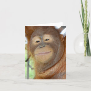 All Occasion - create your own greeting card