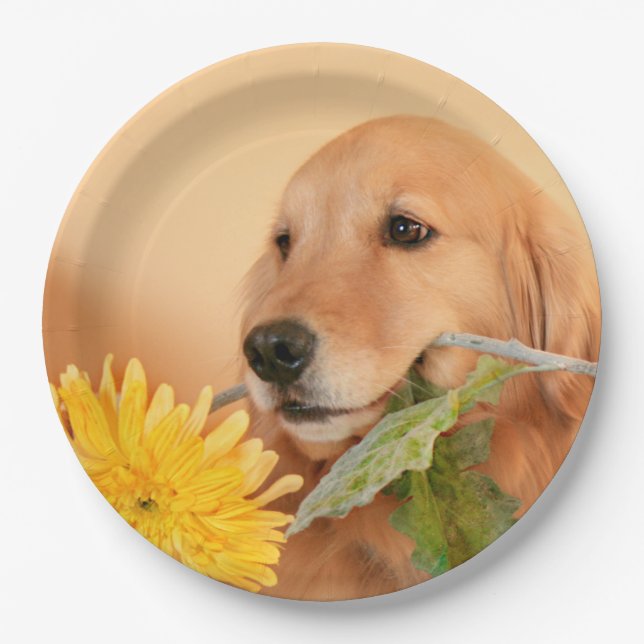 All Occasion Golden Retriever Dog With Flower Paper Plate (Front)