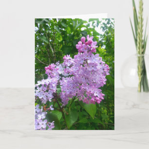 All Occasion Greeting Card