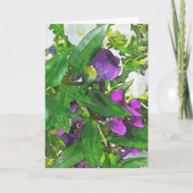 All Occasion Greeting Card (Blank Inside)