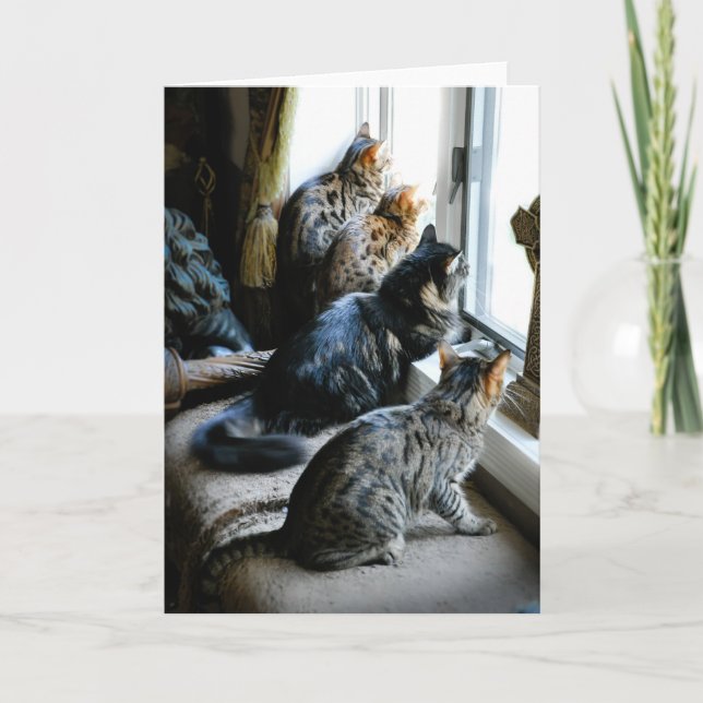 All Occasion Greeting Card - Cats at Window (Front)