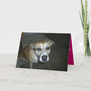 All Occasion Greeting Card from Dog to Master