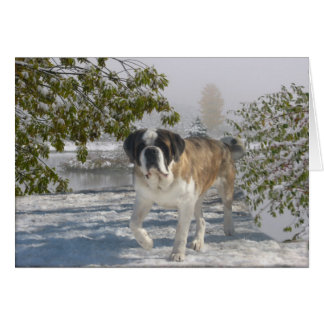 All occasion gretting card