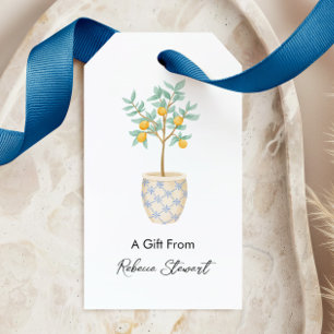 All Occasion Lemon Tree A Gift From Personalised Tags