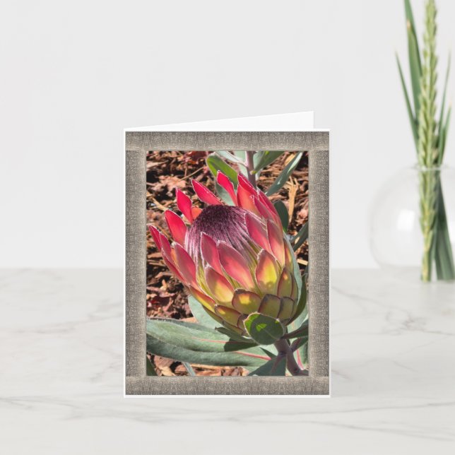 All-Occasion Note Card with Beautiful Protea (Front)