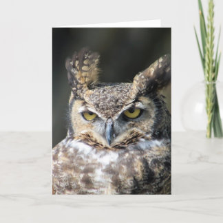 All occasion note cards featuring Great-Horned Owl