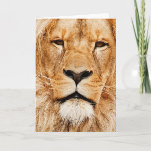 All Occasion, Orange Lion Greeting Card
