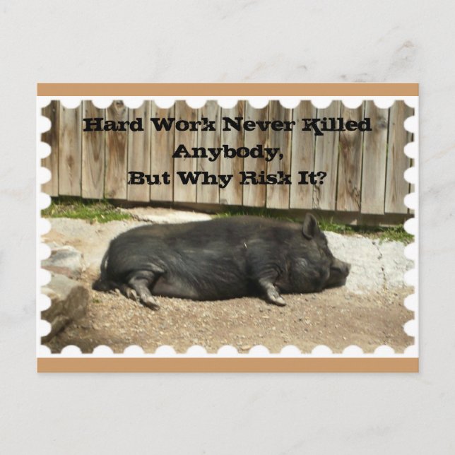 All Occasion Postcard with Pot Bellied Pig (Front)