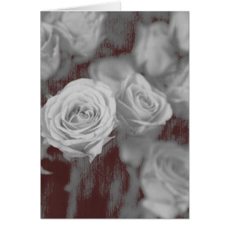 All occasion rose