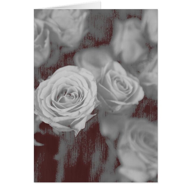 All occasion rose (Front)