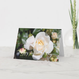All occasion white rose, add your photo, text holiday card