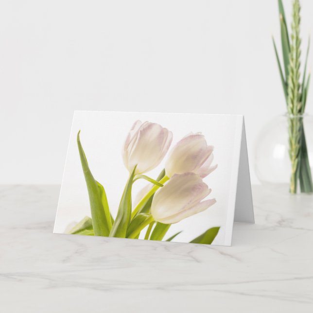 All-Occasion White Tulips Card (Front)