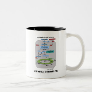 All Of My Cells Go Through A Cycle (Biology) Two-Tone Coffee Mug