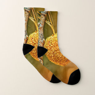 All-Over-Print Socks, Sycamore Seed Ball  Socks
