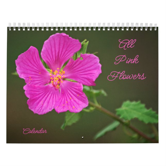 All Pink Flowers Photographic Calendar (Cover)