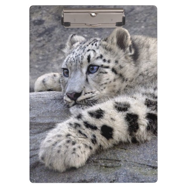 All Played Out Clipboard (Front)