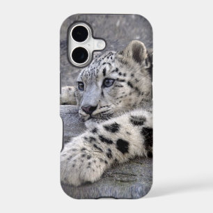 All Played Out iPhone 5 Case-Mate Case