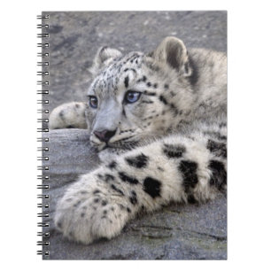 All Played Out Notebook