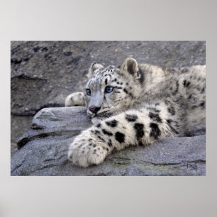 All Played Out Print